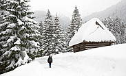 Dolina Chochołowskia  - Tatry Polskie