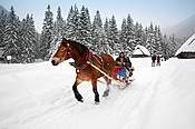 Dolina Chochołowskia  - Tatry Polskie