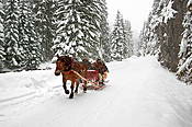 Dolina Chochołowskia  - Tatry Polskie