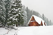Ścieżka pod Reglami  - Tatry Polskie