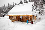 Herbaciarnia na polanie  Chochołowskiej  - Tatry Polskie