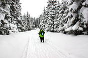 Dolina Chochołowska  - Tatry Polskie