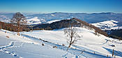 Krajobraz w drodze na Wysoką - Małe Pieniny