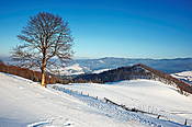 Krajobraz w drodze na Wysoką - Małe Pieniny