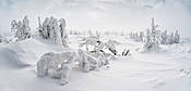 Zima na Szrenicy - Karkonosze