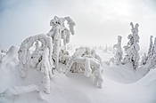 Zima na Szrenicy - Karkonosze