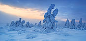 Zima na Szrenicy - Karkonosze
