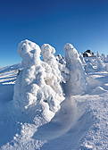 Zima na Szrenicy - Karkonosze