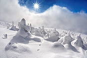 Zima na Szrenicy - Karkonosze