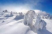 Zima na Szrenicy - Karkonosze