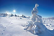 Zima na Szrenicy - Karkonosze