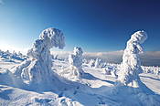 Zima na Szrenicy - Karkonosze