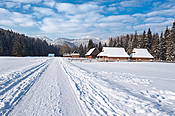Dolina Chochołowskia  - Tatry Polskie