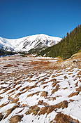 Dolina Kondratowa  - Tatry Polskie