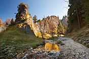 Wąwóz Homole - Małe Pieniny