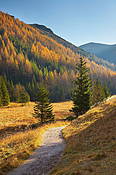 Dolina Jaworzynki - Tatry Polskie
