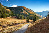 Dolina Jaworzynki - Tatry Polskie