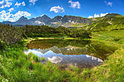 Mały stawek w Dolinie Gąsienicowej - Tatry Polskie