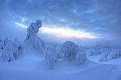 Zima na Szrenicy - Karkonosze