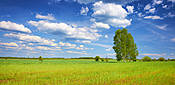 Wiosna na Podlasiu