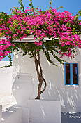 Grecja - wyspa Santorini