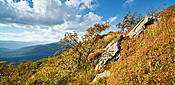 Bukowe Berdo - Bieszczady 