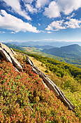 W drodze na Halicz - Bieszczady 