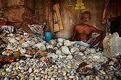 Sri Lanka, Colombo, bazar, sprzedawca muszli