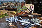 Sri Lanka, Galle, sprzedawca ryb
