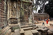 Kambodża - świątynie Angkor (Ta Phrom)