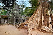Kambodża - świątynie Angkor (Ta Phrom)