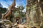 Kambodża - świątynie Angkor (Ta Phrom)
