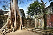 Kambodża - świątynie Angkor (Ta Phrom)