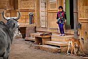 Indie - ulice starego miasta Jaisalmer.