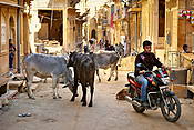 Indie - ulice starego miasta Jaisalmer.