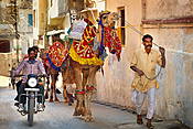 Indie - ulica w Udaipur.