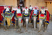 Indie - Jaipur, Fort Amber, słonie czekające na turystów.