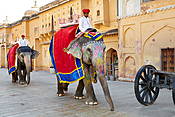 Indie - Jaipur, słonie na dziedzińcu Fortu Amber.