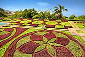 Madera - Funchal, dywany kwiatowe w Ogrodzie Botanicznym