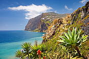 Madera - widok z Camara de Lobos na klif Cabo Girao