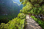 Madera - Dolina Rabacal, Levada do Risco 
