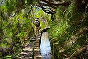 Madera - Dolina Rabacal, Levada dos 25 Fontes