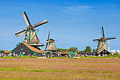 Holandia - skansen wiatraków Zaanse Schans