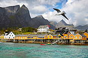 Norwegia - Lofoty