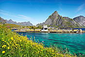 Norwegia - Lofoty