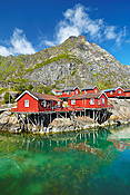 Norwegia - Lofoty