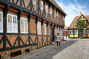 Dania, Ribe