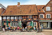 Dania, Ribe