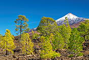 Teide National Park, Teneryfa, Wyspy Kanaryjskie