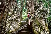 Sacred Monkey Sanctuary, Bali, Indonezja